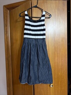 The Limited Black & White Striped Tank Dress with Navy Skirt